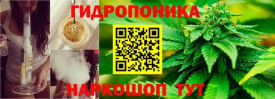 ПСИЛОЦИБИНОВЫЕ ГРИБЫ Краснознаменск