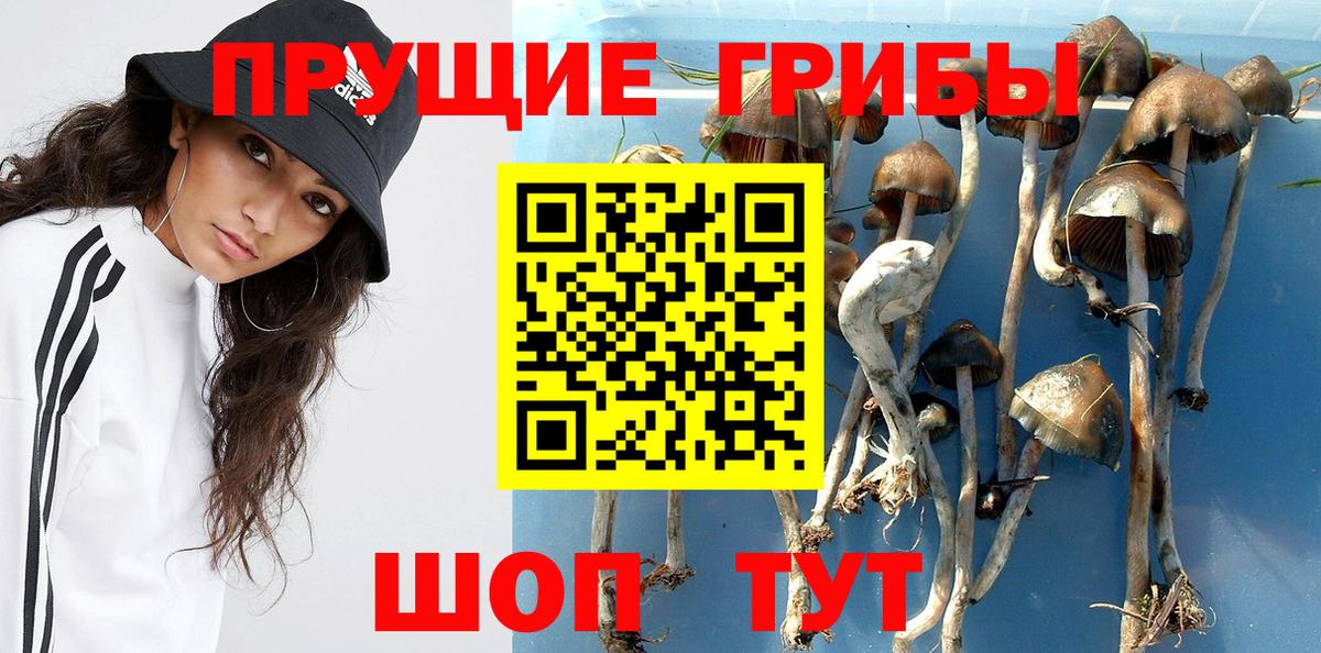 Псилоцибиновые грибы прущие грибы  Вход с VPN  Ярцево  где можно купить наркотик  Псилоцибиновые грибы Magic Shrooms 