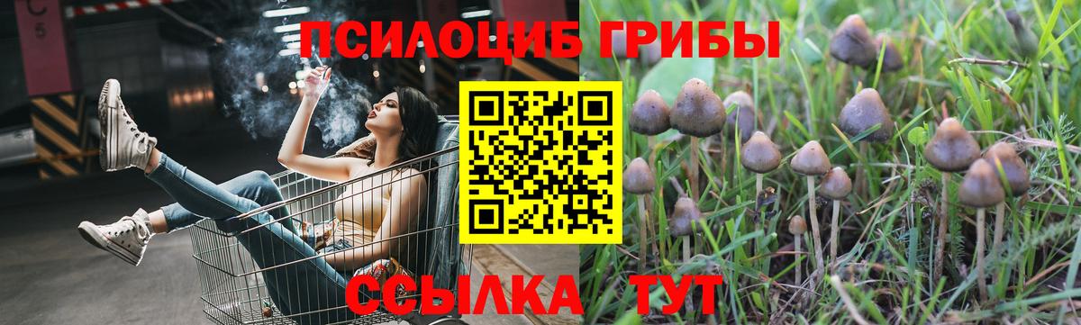 Псилоцибиновые грибы прущие грибы Ярцево